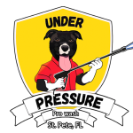 Under Pressure Prowash
